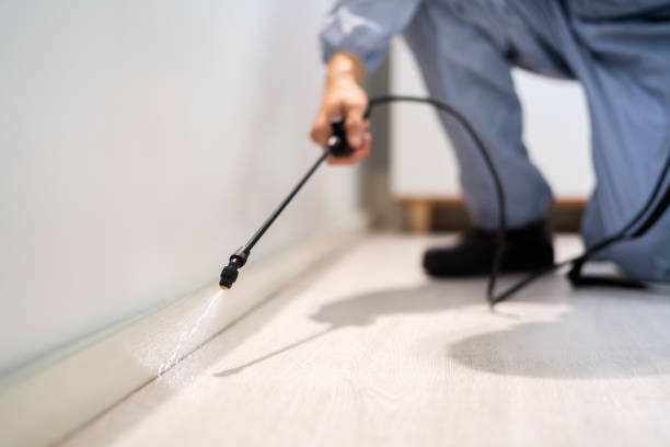 Licensed Termite Control service in Corcoran, MN - Nex Pest Control