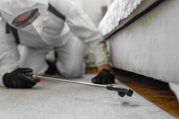 Professional Termite Control technician working in Corcoran, MN