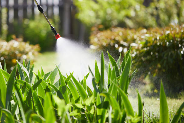 24/7 Emergency Termite Control experts in Corcoran, MN