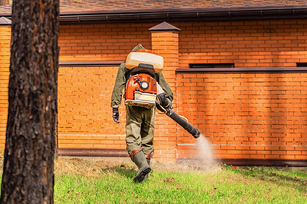 Top rated local Termite Control specialists in Corcoran, MN